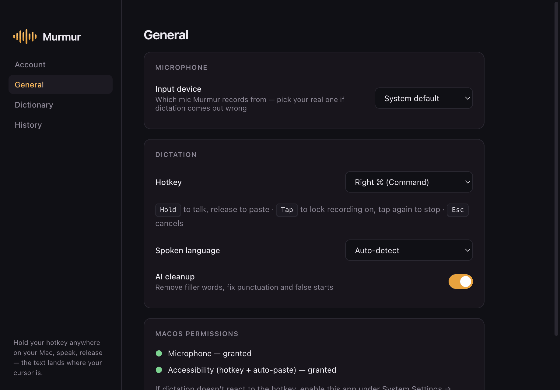 PromptStream's settings: microphone input, dictation hotkey, spoken language, AI cleanup, and macOS permissions